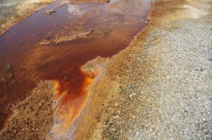 Acid mine drainage can be highly toxic and, when mixed with groundwater, surface water and soil, may have harmful effects on humans, animals and plants.